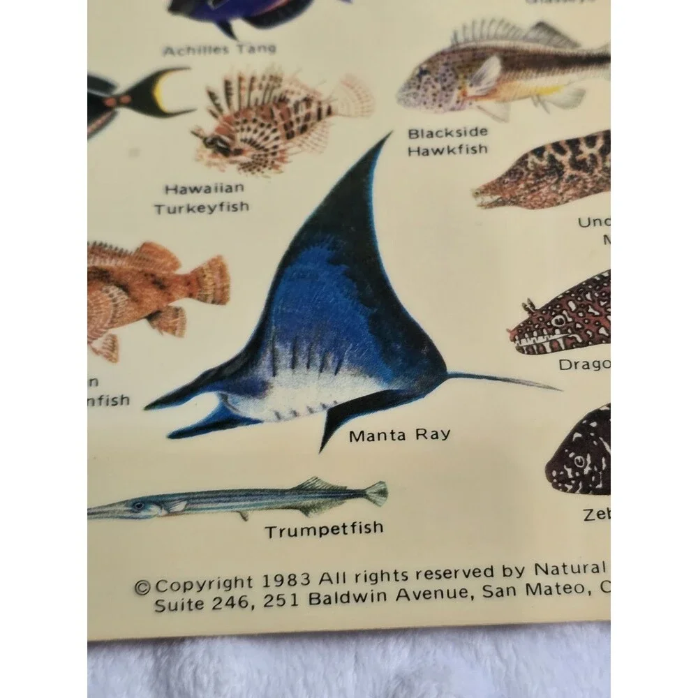 Vtg 1983 Guide to Hawaiian Reef Fish Plastic Card Natural World Press Ephemera
